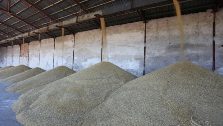 143 000 тона пшеница прибраха в Хасковско