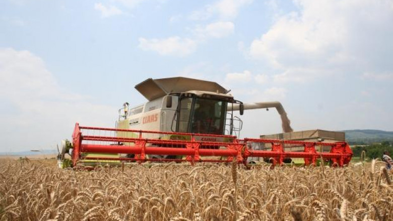 Жътвата на пшеница в Шуменско приключва с 429 кг. от декар