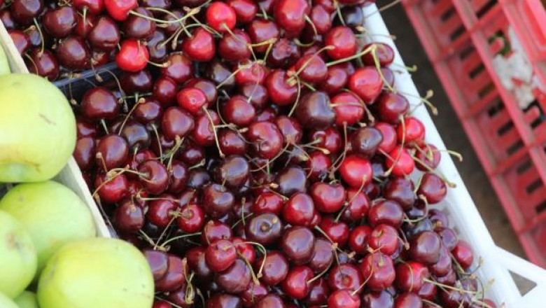 Над 100 производители от Кюстендил искат сертификат за череши