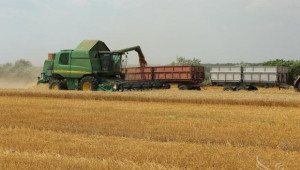 Нов механизъм за ДДС при търговията със зърно влиза в сила от 1-и Октомври - Agri.bg
