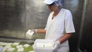 България ще изнася сирене в САЩ при намалено мито - Agri.bg