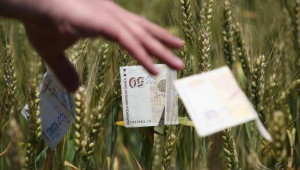 Делът на БВП и БДС от земеделие се свива, въпреки субсидиите - Agri.bg