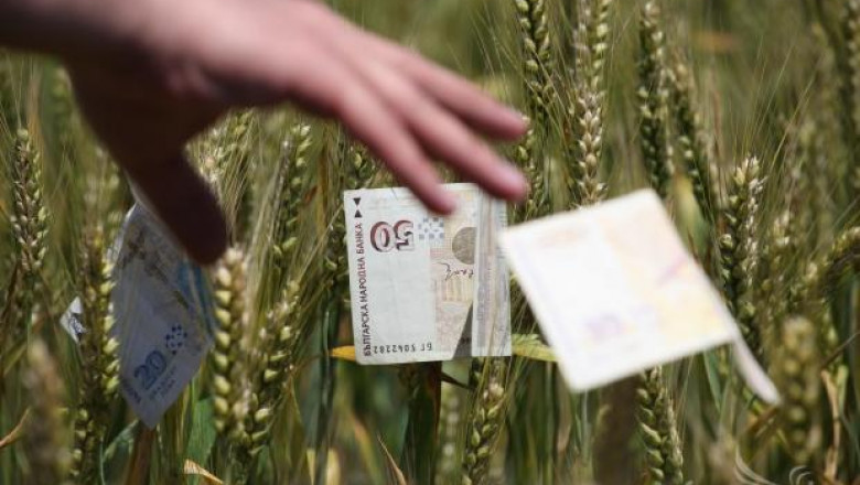 Делът на БВП и БДС от земеделие се свива, въпреки субсидиите