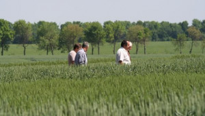 Изтича срокът за подаване на декларации в НАП от земеделски производители - Agri.bg