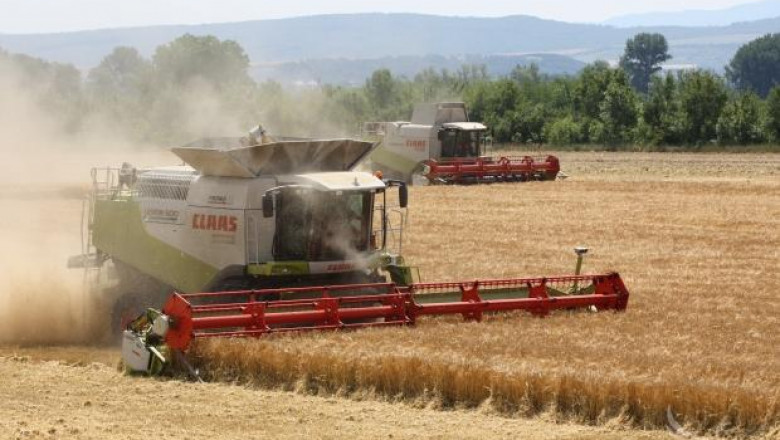 532 кг/дка е средният добив от пшеница в област Силистра