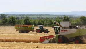 Над 80% от площите с пшеница в Пловдивско са ожънати - Agri.bg