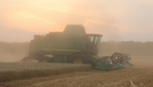  Добри добиви от пшеница и слаби от рапица получиха в Монтанско - Agri.bg