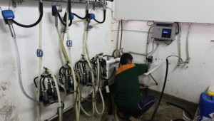 Фермери, които ще модернизират млечни ферми, заявяват това в БАБХ - Agri.bg
