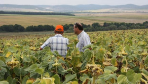 МЗХ предлага законови промени за облекчаване на агробизнеса - Agri.bg