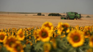  448 кг/дка е средният добив от пшеница в Добричко - Agri.bg