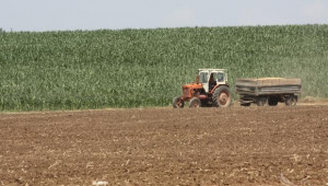 90% от площите с пшеница в област Враца вече са ожънати - Agri.bg