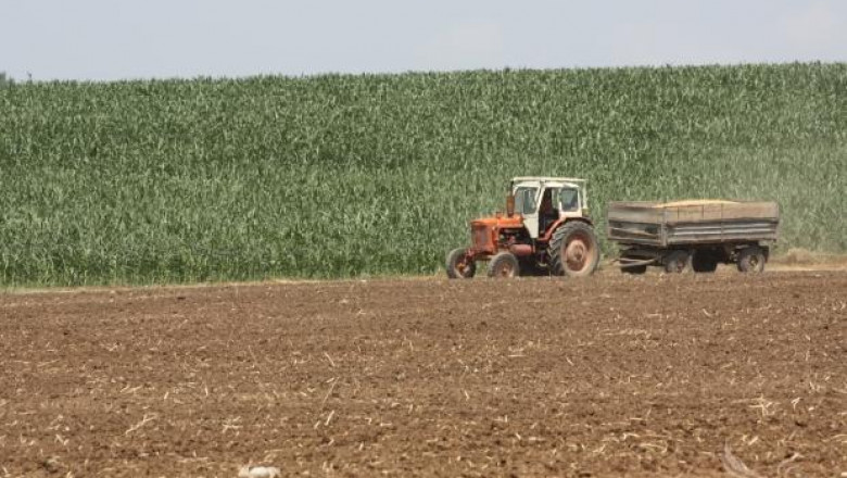 90% от площите с пшеница в област Враца вече са ожънати
