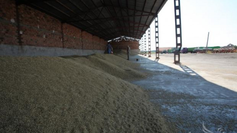 Жътвата на пшеница в Бургаско приключи с по-ниски добиви