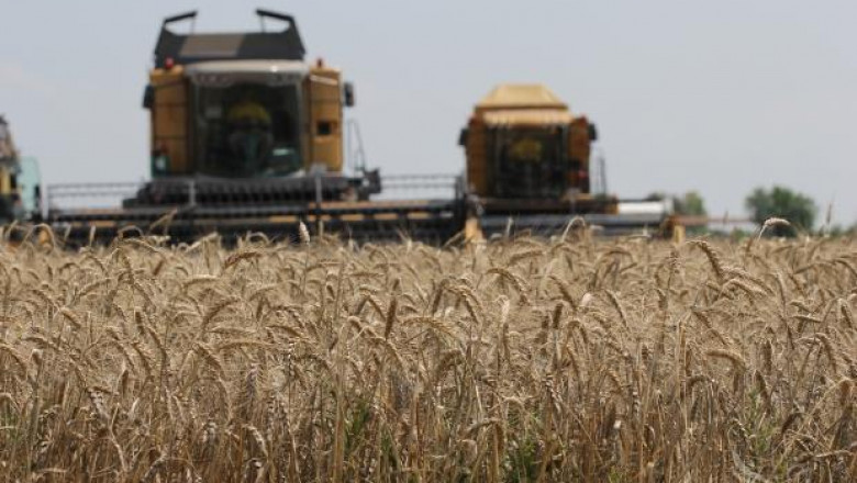 Цените на пшеницата в България близки до тези в Русия и Украйна