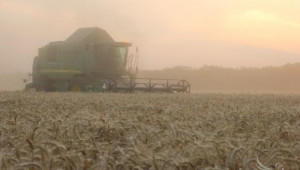 Средно по 470 кг/дка хлебна пшеница прибират в Плевенско - Agri.bg