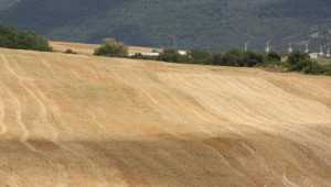 До 31 юли се подават декларации и заявления за ползване на земеделски земи - Agri.bg
