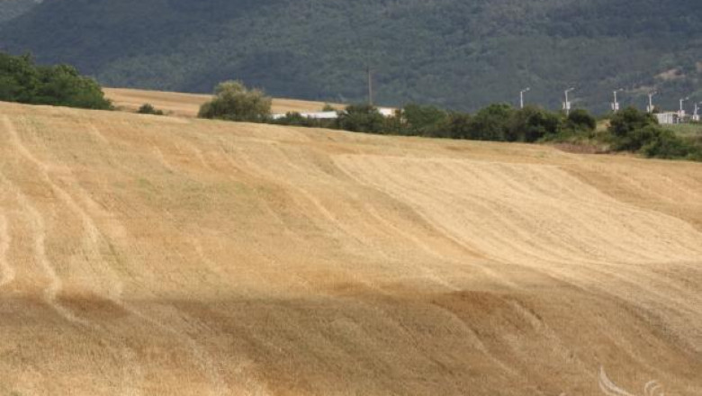 До 31 юли се подават декларации и заявления за ползване на земеделски земи