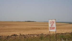  300 дка пшеница изгоряха във Видинско - Agri.bg