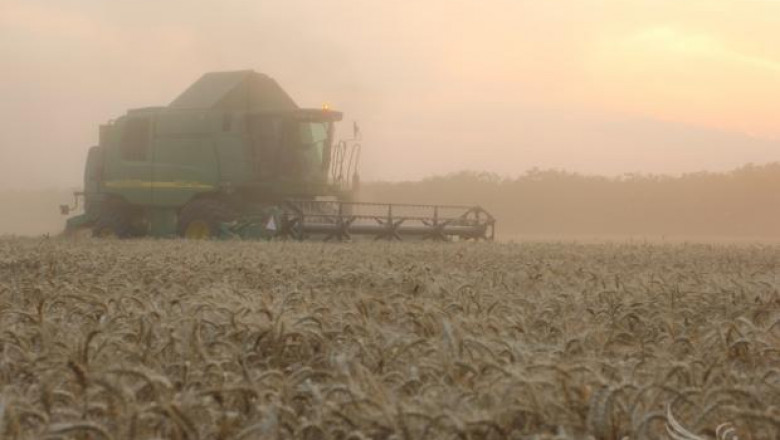 Почти 500 000 тона пшеница в Добричка област е вече в складовете