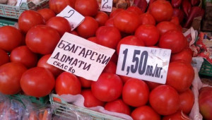Биопроизводители подкрепят исканията на зeленчукопроизводителите - Agri.bg
