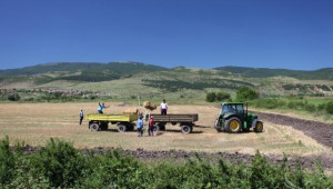 До 31 юли земеделските производители подават декларации в НАП - Agri.bg