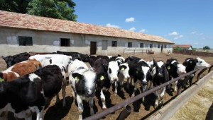 Няма да има намаление на субсидиите за животновъдите  за 2013 г.
