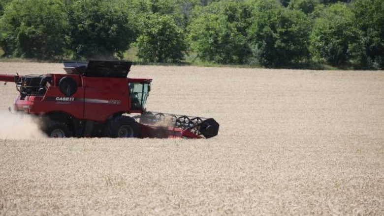 Пшеницата в Добричка област е прибрана наполовина при добив 475 кг/дка