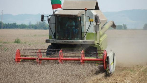 НАЗ : Ниските изкупни цени на зърното може да доведат до фалити - Agri.bg