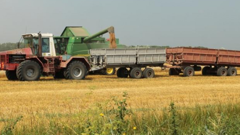 448 кг/дка пшеница, отчитат в Добричка област