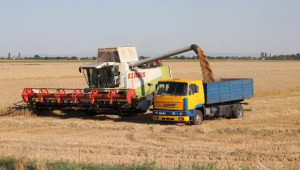 ЕК прогнозира високи добиви на мека пшеница и ечемик в България