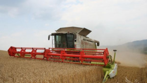 В Монтанско очакват 350 кг/дка пшеница – жътвата започва до дни