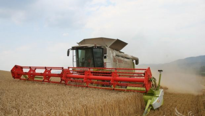 В Монтанско очакват 350 кг/дка пшеница – жътвата започва до дни