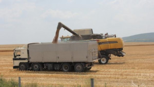 630 кг/дка пшеница ожънаха във Великотърновско