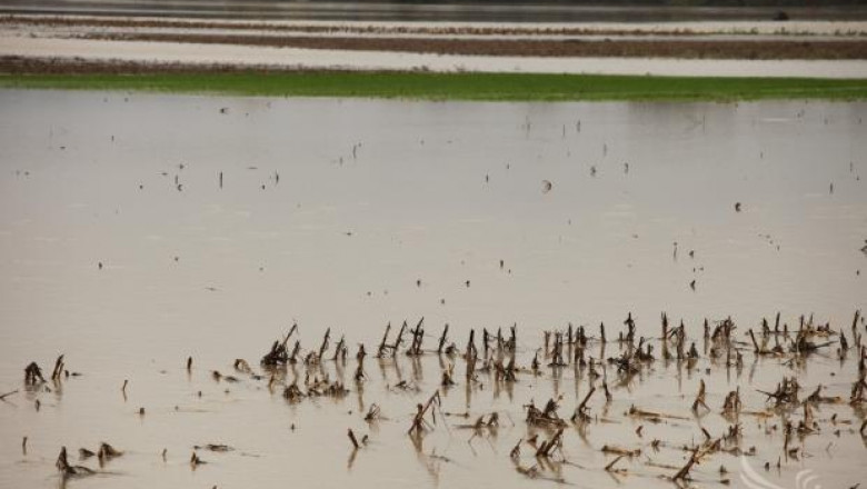 ЕК отпуска 600 млн. евро за немски фермери, пострадали от наводненията