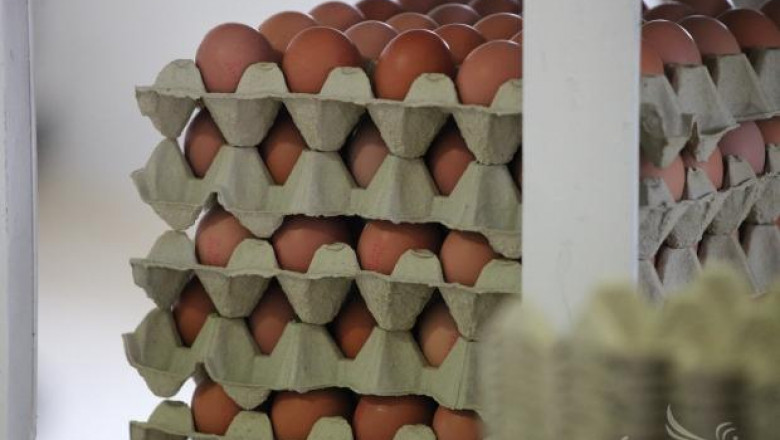 Яйцата в ЕС и България са по-евтини през тази година