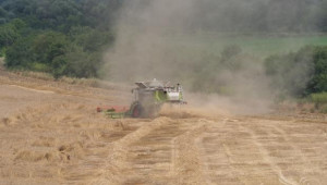 Земеделци алармират: Все още не сме получили средствата по НР1 и НР2! - Agri.bg