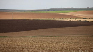 В България цените на земята ще се приближат по-бързо до западните  - Agri.bg