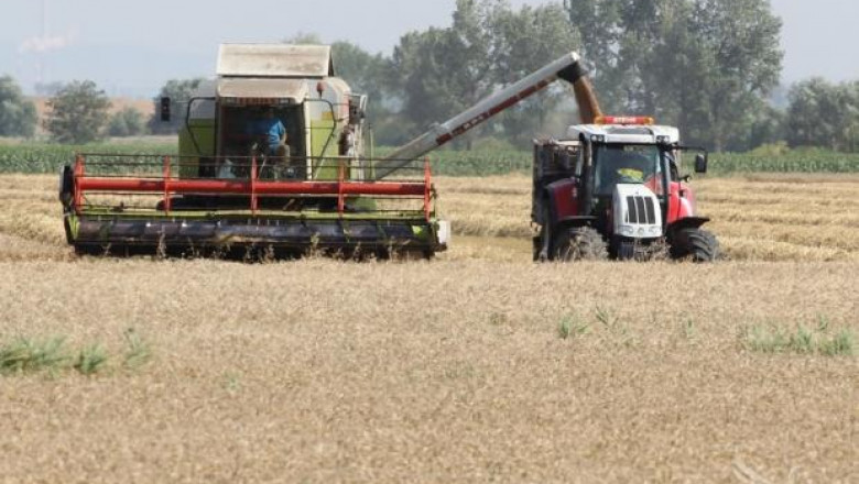 Жътвата на пшеница стартира повсеместно в Южна България