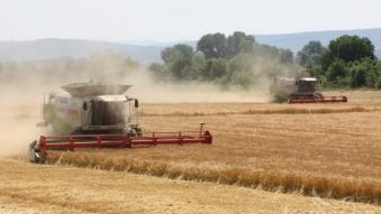 По-ниски добиви пшеница очакват земеделци в Южна България