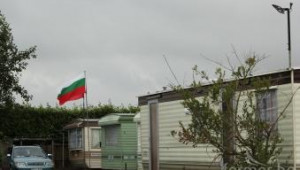 Фермери от Великобритания очакват отлив на български работници от 2014 - Agri.bg