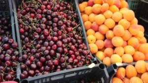 ДКСБТ: Понижават се цените на сезонните плодове и зеленчуци - Agri.bg