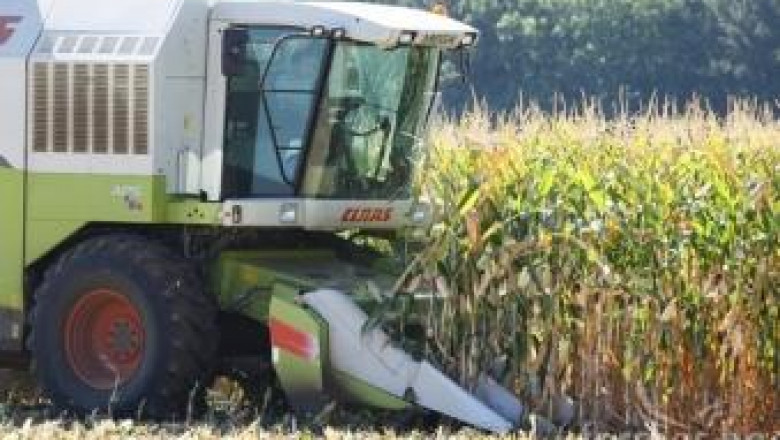 От МЗХ заявиха, че очакват значително повече царевица от реколта 2013 ( анализ + цени и данни )