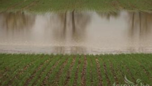 Подпочвени води и прилив на Дунав може да наводнят големи земеделски площи - Agri.bg