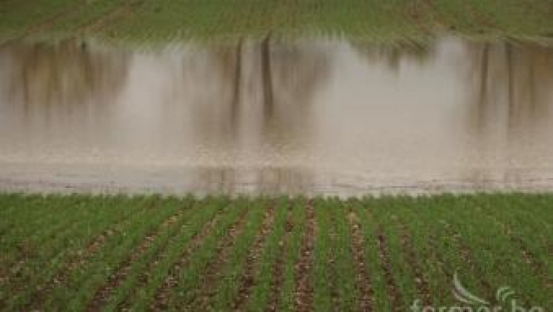 Подпочвени води и прилив на Дунав може да наводнят големи земеделски площи