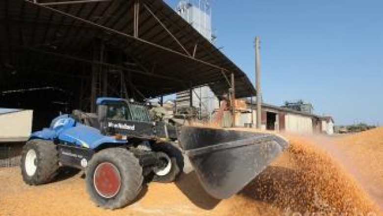 ФАО: Млечните продукти поевтиняват за сметка на поскъпващата царевица