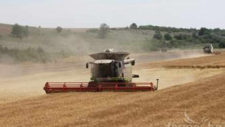 Русия очаква рекордни добиви зърно от реколта 2013