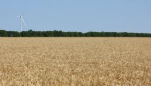 БСП иска въвеждане на минимален праг за аренда на земеделска земя - Agri.bg