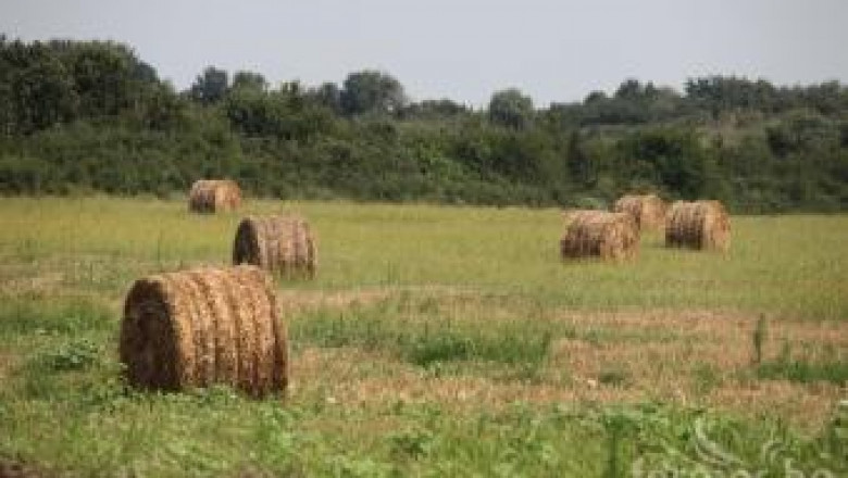 Завод за пелети от слама градят в Северна България (интервю)