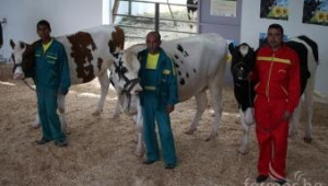 Министър Греков ще открие първото изложение за Черношарена порода говеда ( ВИДЕО + СНИМКИ ) - Agri.bg