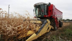 Очаква се спад на цените на царевицата и пшеницата спрямо нивата от 2012 - Agri.bg